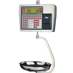 數(shù)顯吊鉤秤K系列-JKK400H